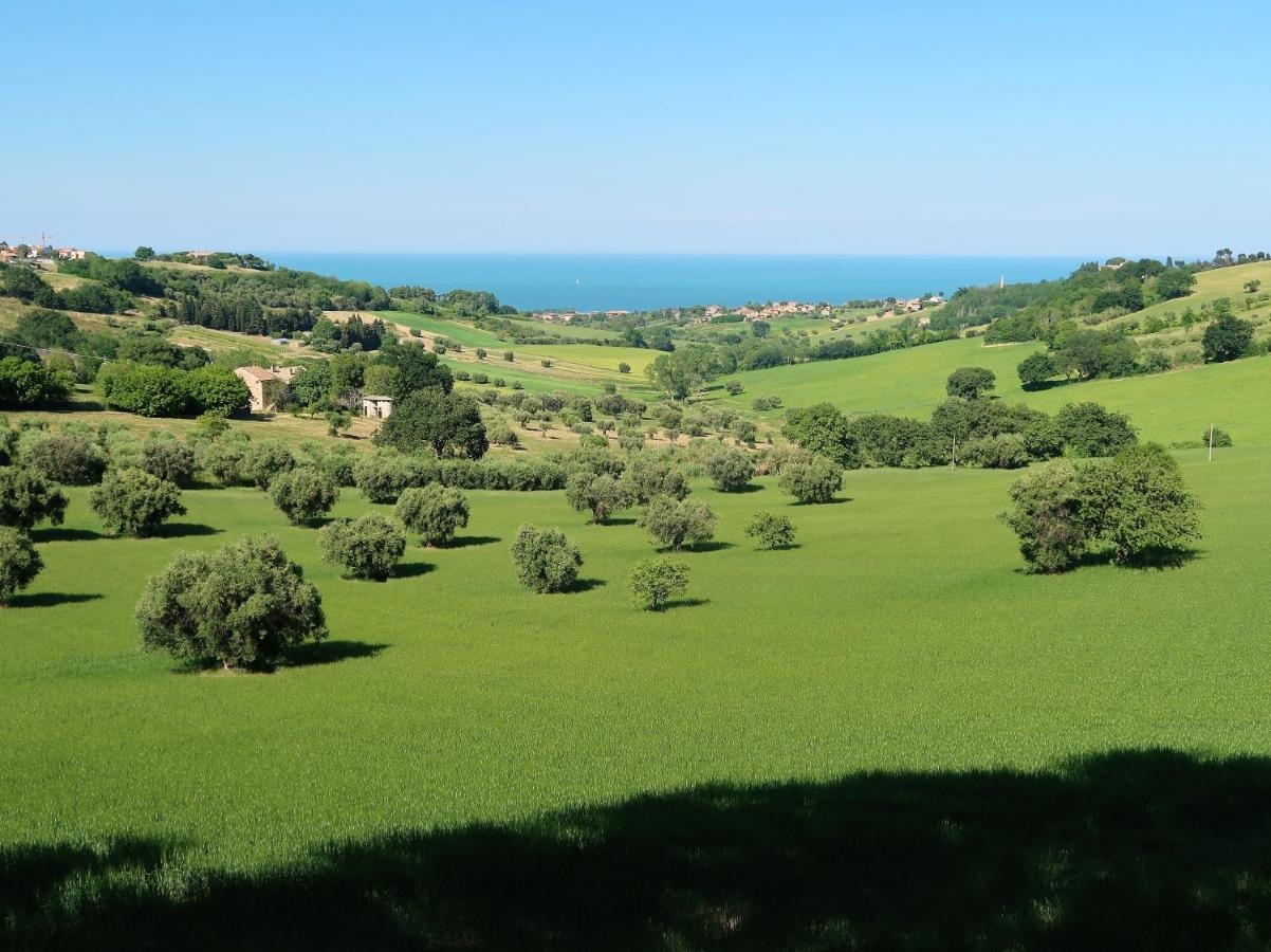 Terra Da Mare Apartman Potenza Picena Kültér fotó